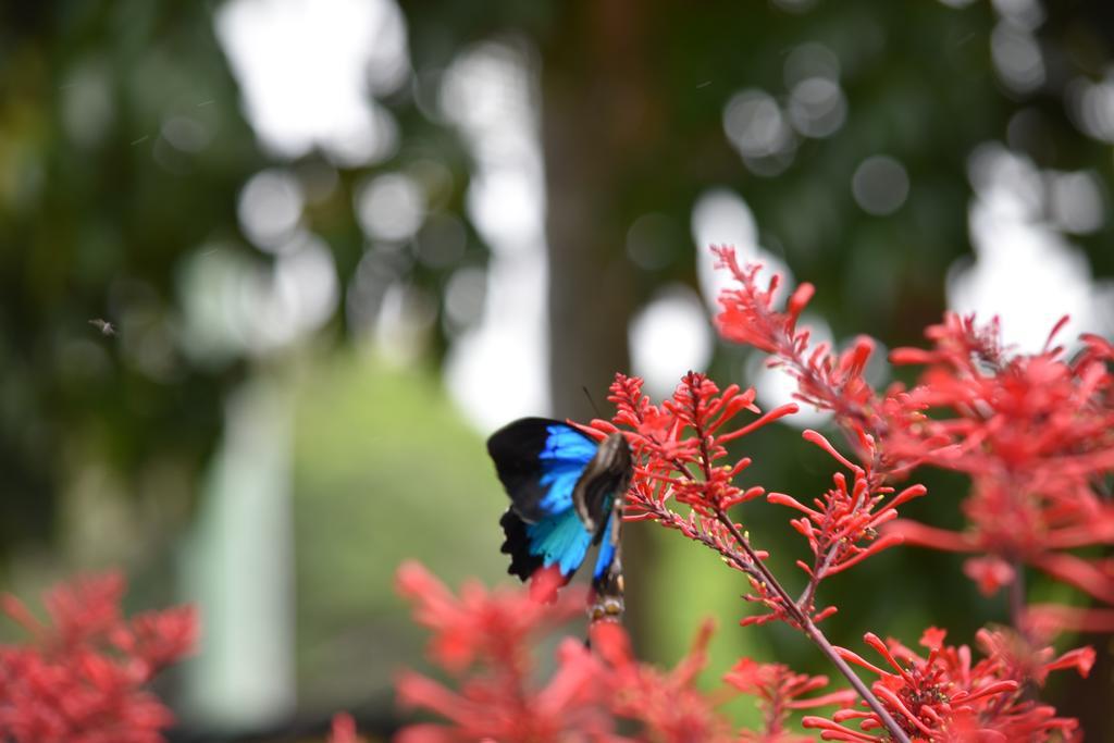 Eden House Retreat Resort